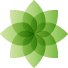 Ternyata – Public Health Consultancy